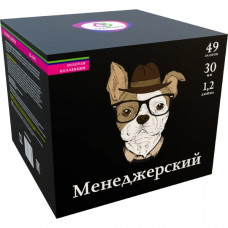 Салют "Менеджерский" -  49 залпов, 1,2" калибр